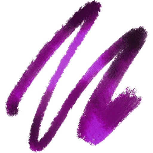 Nova Ona logo